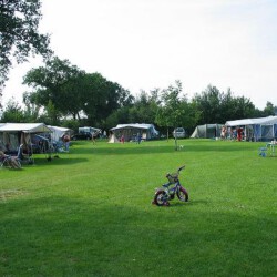 Boerderij de Elshof - Holten