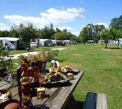 Boomgaard- en minicamping De Lindehof - Gees