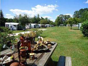 Boomgaard- en minicamping De Lindehof - Gees