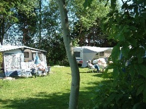 Camping Bomhofshoeve - Beemte-Broekland