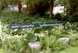 Camping Wildemansheerd - Schildwolde