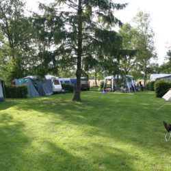 Campingdedrentsepatrijs - Uffelte