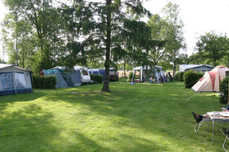 Campingdedrentsepatrijs - Uffelte