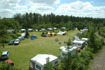 De Bronzen Eik - Sellingen