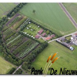 De Nieuwe Riet - Oud Gastel - Oudenbosch
