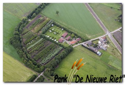 De Nieuwe Riet - Oud Gastel - Oudenbosch