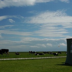 De Oorsprong - Schiermonnikoog