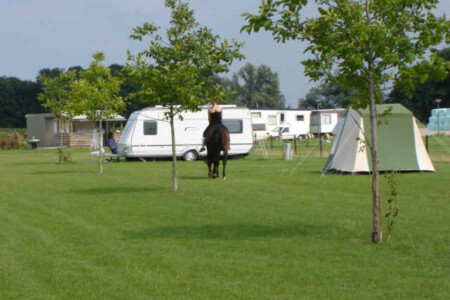 De Selevia Hoeve - Werkendam