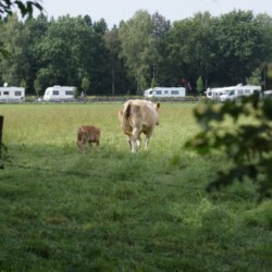 Het Ven - Bergeijk