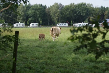 Het Ven - Bergeijk