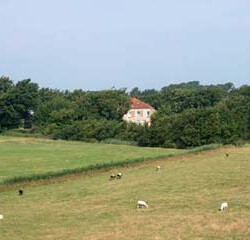 Kamperen bij de Boerin - Den Hoorn Texel