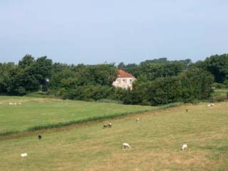 Kamperen bij de Boerin - Den Hoorn Texel