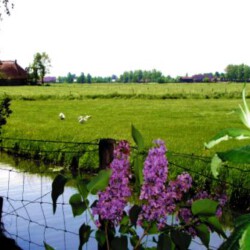 Logeercaravan Vallei Uitzicht - Nijbroek