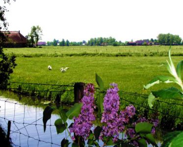 Logeercaravan Vallei Uitzicht - Nijbroek