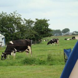 Ormsby Field - Castricum