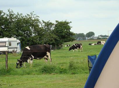 Ormsby Field - Castricum