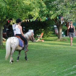 mini camping de bokkesprong - Vrouwenpolder