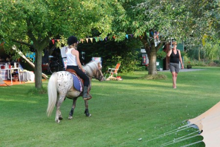 mini camping de bokkesprong - Vrouwenpolder