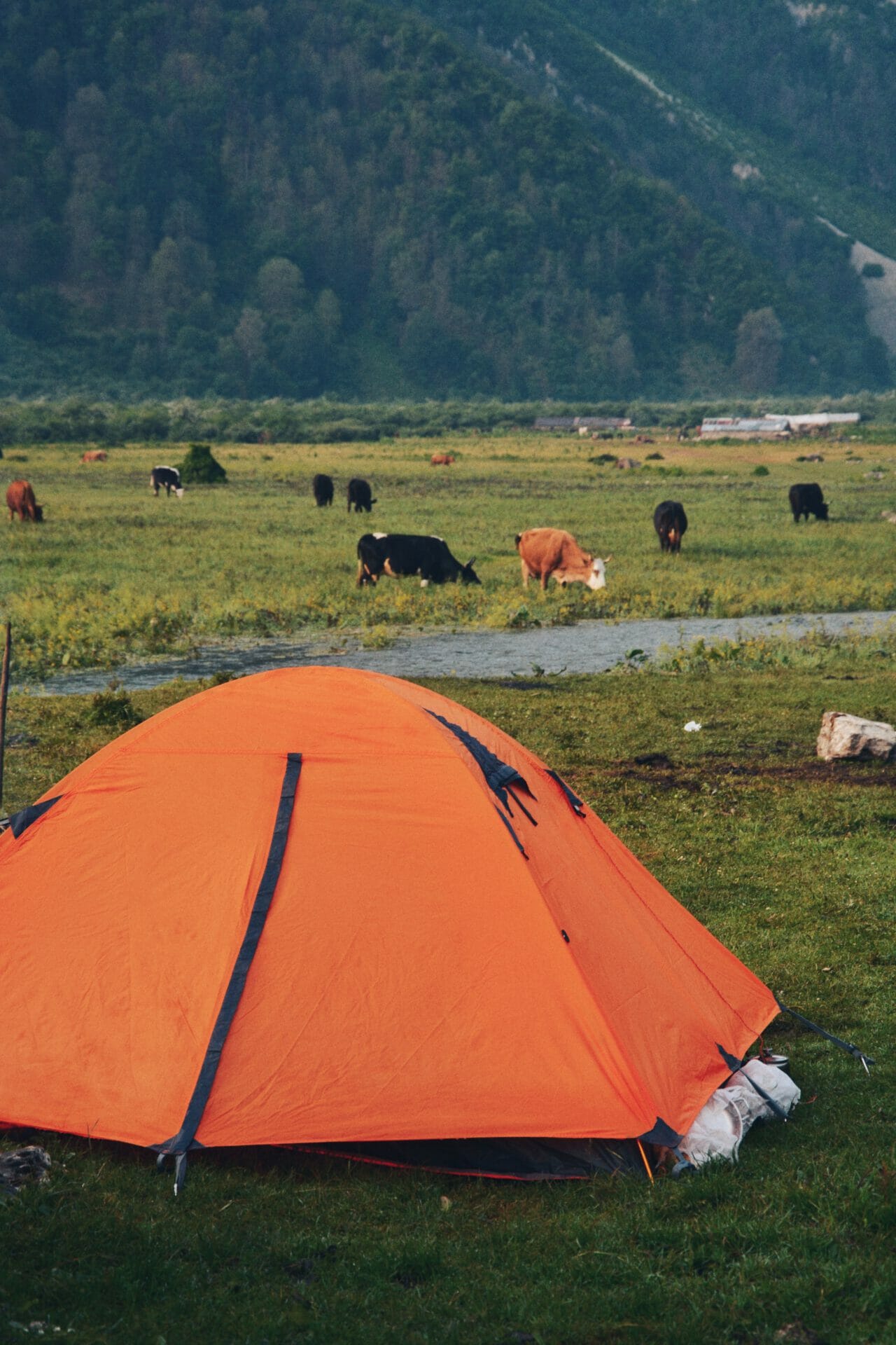 Tent op boeren camping